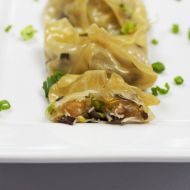 Pierogi Wonton