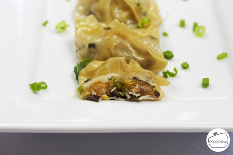 Pierogi Wonton