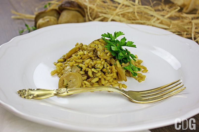 risotto z borowikami udekorowane zieloną pietruszką podane na talerzy ze złotym widelcem